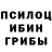 Псилоцибиновые грибы Magic Shrooms agi kir