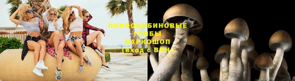 соль ск Алексеевка