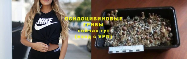 героин Алексин