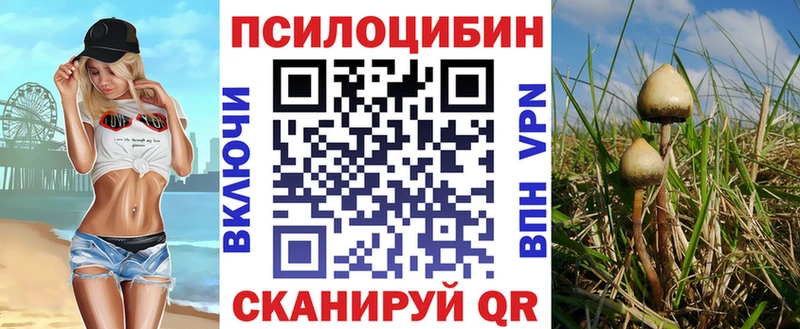 дарнет шоп  Удачный  Псилоцибиновые грибы Psilocybe 